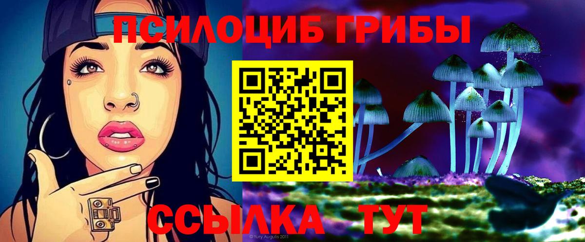 Моздок  Галлюциногенные грибы GOLDEN TEACHER  Вход с VPN 