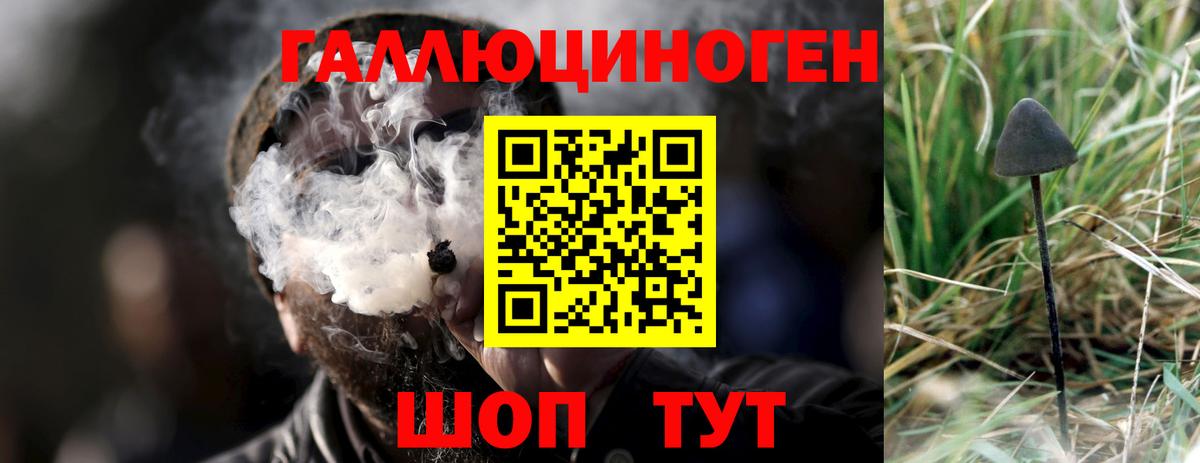 Галлюциногенные грибы мицелий Моздок